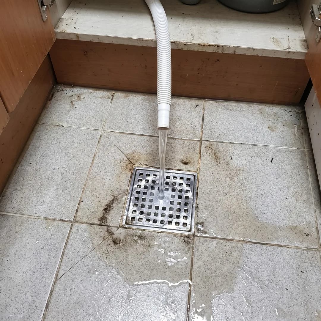 배수 확인 · 안내 장면